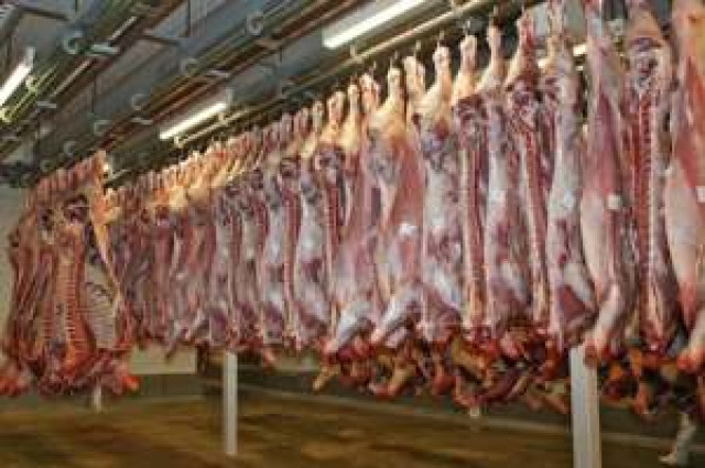 Animals processed in abattoirs