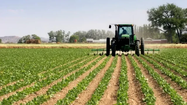 Mechanical farming