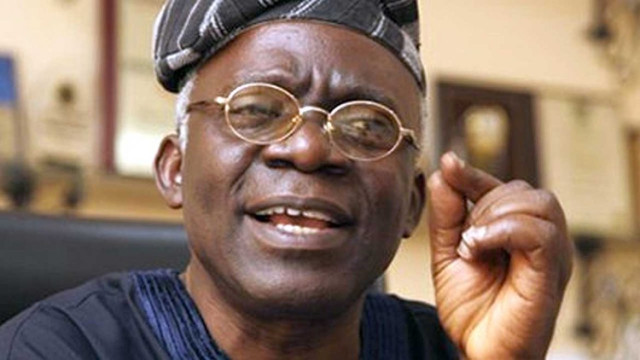 Femi Falana, Nigerian lawyer and human rights activist