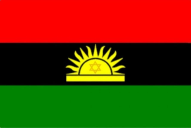 The Indigenous People of Biafra's logo