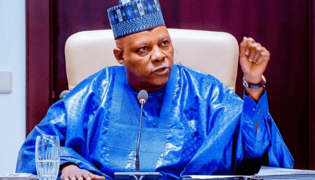 Vice President Kashim Shettima