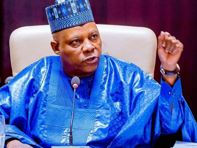 Vice President Kashim Shettima