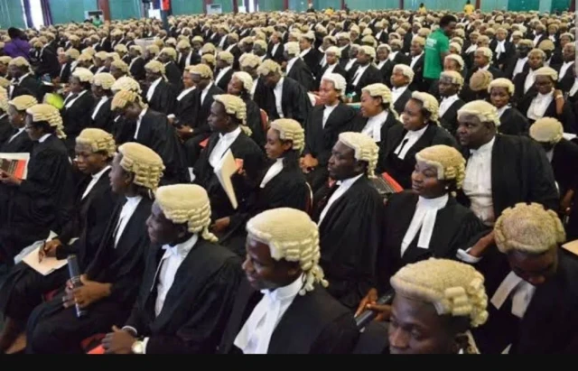 Nigeria Lawyers