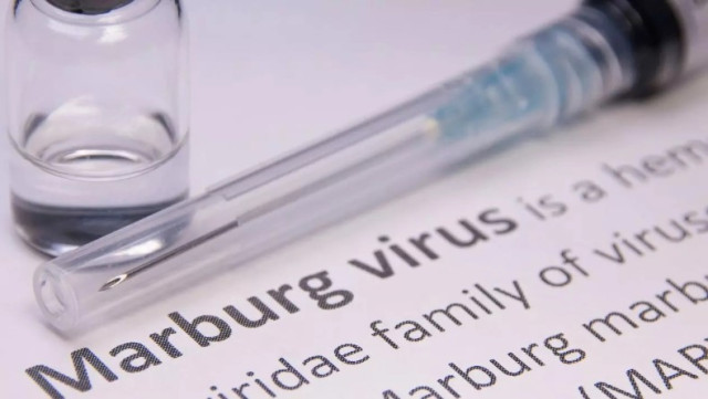 Marburg Virus