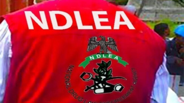 National Drug Law Enforcement Agency (NDLEA)