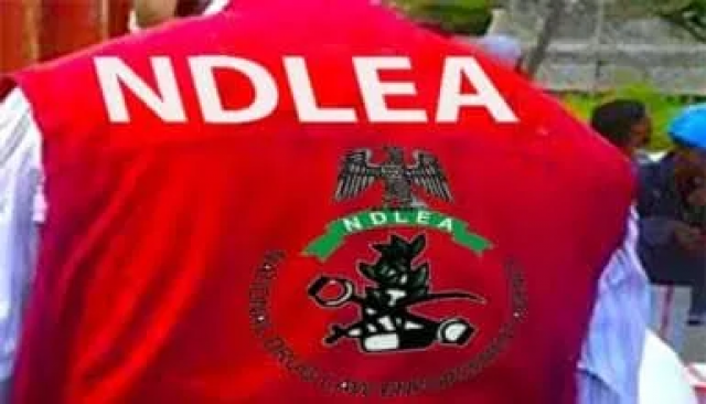 National Drug Law Enforcement Agency (NDLEA)