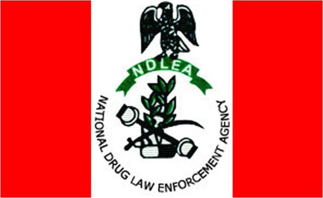 NDLEA
NDLEA