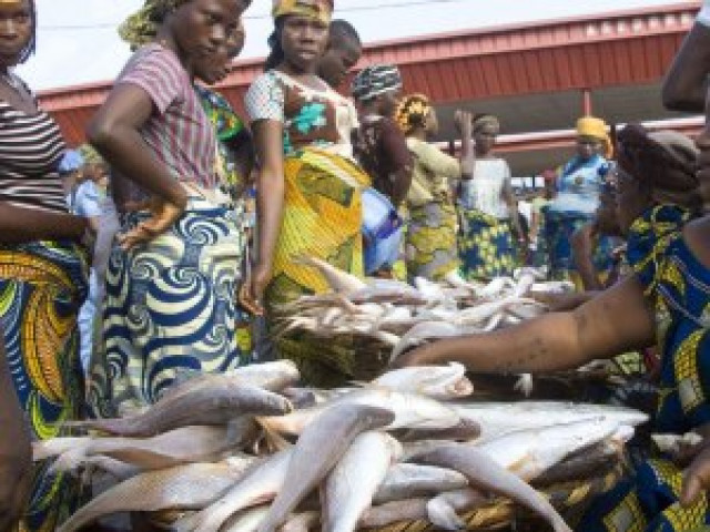 Women Seling Fish