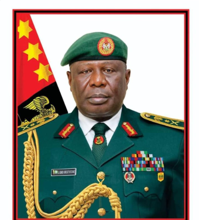 Chief of Army Staff, Lieutenant General Olufemi Oluyede. Photo: Nigerian Army
