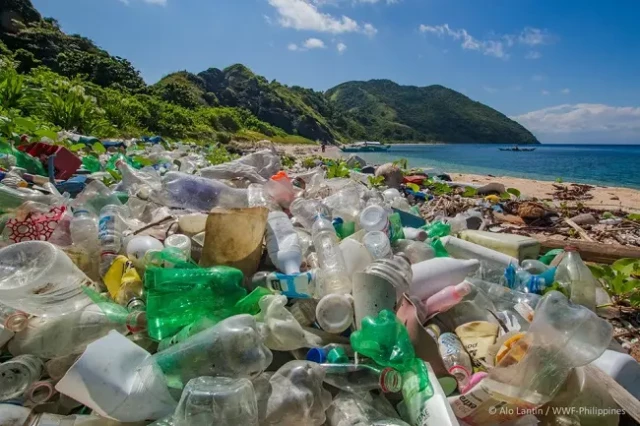 Plastic waste pollution