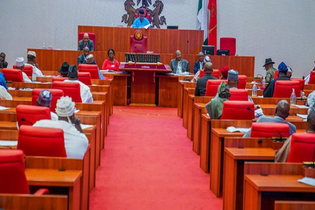 Nigeria Senate during plenary session