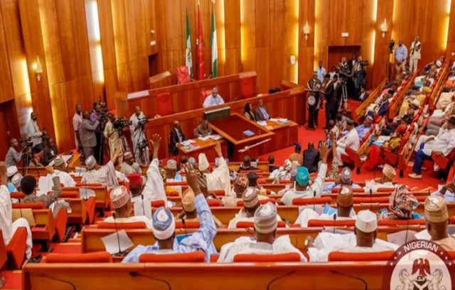 Nigeria Senate in Plenary