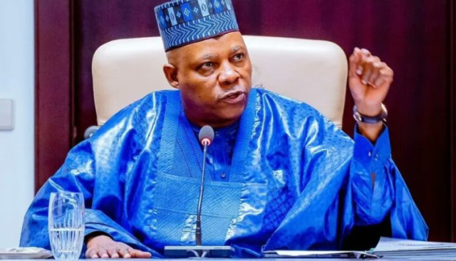 Vice President Kashim Shettima