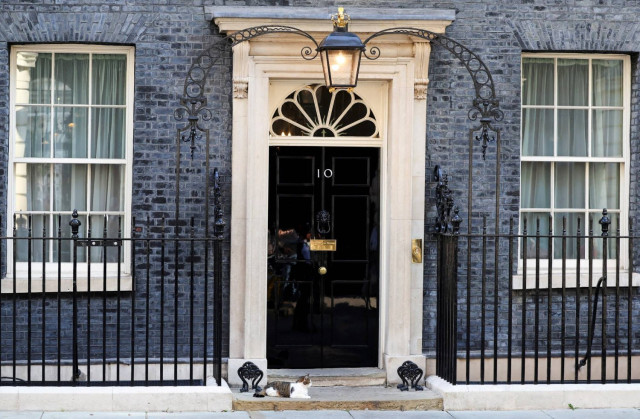 Picture of Cat sits on Downing Street in London, Britain July 19, 2024