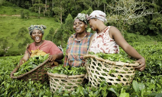 Women farmers