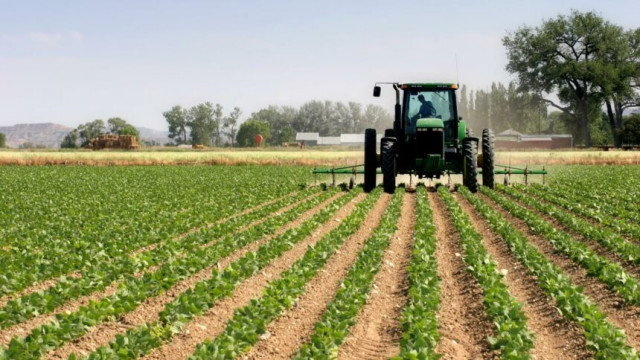 A tractor working on the farm