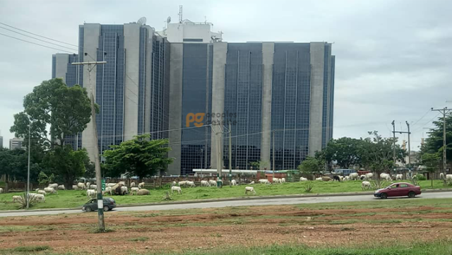 Central Bank of Nigeria (CBN)