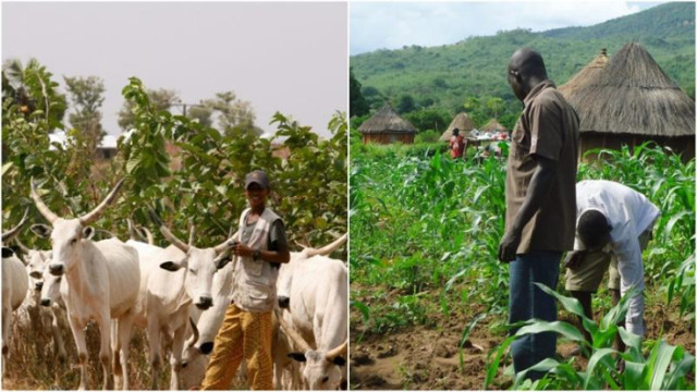 Photo of An herdsman and a farmer in his farmland