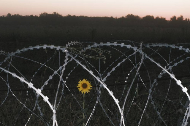 Fortification structures set up not far from the Ukraine-Russia border in the Sumy region near the border with Russia, Ukraine, 17 August 2024 amid the Russian invasion