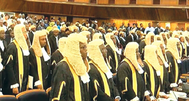 Photo of the Cross section of judges