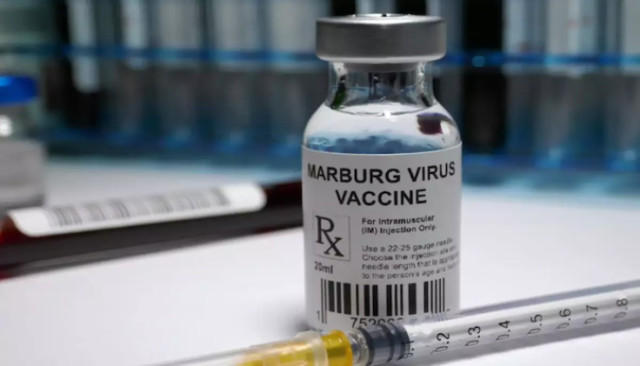 Photo of  Marburg virus vaccine