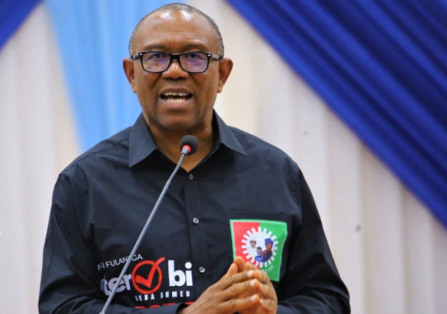 Photo of  former Anambra State Governor, Peter Obi