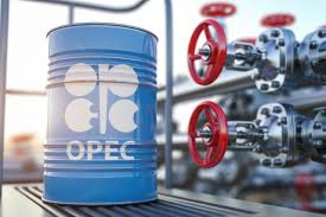 Organization of the Petroleum Exporting Countries (OPEC )