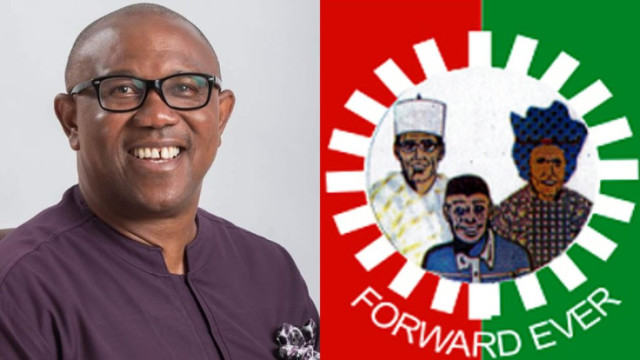 Photo of Peter Obi and Labour Party Logo